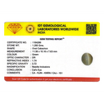 Catseye - 6.3 Carat - Pramogh