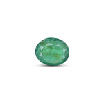 Emerald - 2.73 Carat - Pramogh