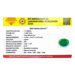 Emerald - 5.4 Carat