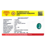 Zambian Emerald - 6.3 Carat