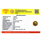 Golden Pearl - 4.85 Carat - Pramogh
