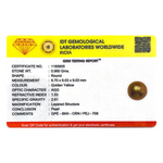 Golden Pearl - 4.8 Carat - Pramogh