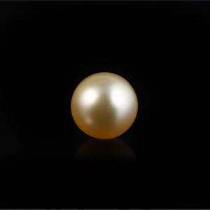 Golden Pearl - 4.03 Carat - Pramogh