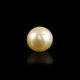 Golden Pearl - 5.55 Carat - Pramogh