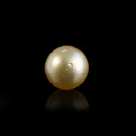 Golden Pearl - 4.9 Carat - Pramogh