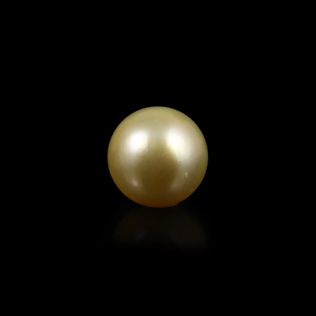Golden Pearl - 4 Carat - Pramogh