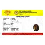Hessonite (Gomed) - 6.6 Carat - Pramogh