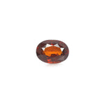 Hessonite (Gomed) - 9.07 Carat - Pramogh