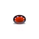 Hessonite (Gomed) - 8.85 Carat - Pramogh
