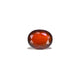 Hessonite (Gomed) - 8.25 Carat - Pramogh