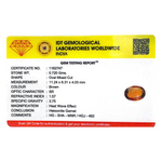 Hessonite (Gomed) - 3.6 Carat - Pramogh