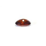 Hessonite (Gomed) - 12.8 Carat - Pramogh