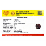 Hessonite (Gomed) - 7 Carat