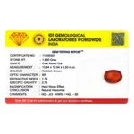 Hessonite (Gomed) - 8.4 Carat