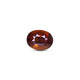 Hessonite (Gomed) - 6.05 Carat - Pramogh