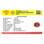 Hessonite (Gomed) - 6.4 Carat