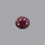 Indian Ruby - 11.4 Carat - Pramogh