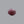Load image into Gallery viewer, Indian Ruby - 11.4 Carat
