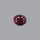 Indian Ruby - 9.3 Carat - Pramogh