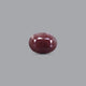 Indian Ruby - 11.25 Carat - Pramogh