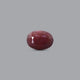 Indian Ruby - 11.75 Carat - Pramogh