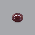 Indian Ruby - 11.15 Carat - Pramogh