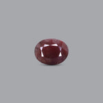 Indian Ruby - 9.1 Carat - Pramogh