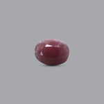 Indian Ruby - 9.75 Carat - Pramogh