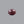 Load image into Gallery viewer, Indian Ruby - 12.25 Carat
