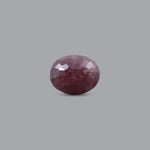 Indian Ruby - 11.4 Carat