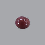 Indian Ruby - 7.2 Carat - Pramogh