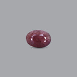 Indian Ruby - 8.55 Carat - Pramogh