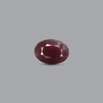 Indian Ruby - 9.3 Carat - Pramogh