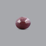 Indian Ruby - 8.9 Carat