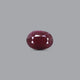 Indian Ruby - 9.25 Carat - Pramogh
