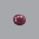 Indian Ruby - 6.5 Carat - Pramogh