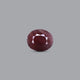 Indian Ruby - 10.1 Carat - Pramogh