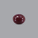 Indian Ruby - 9.6 Carat - Pramogh