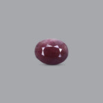 Indian Ruby - 9.3 Carat - Pramogh