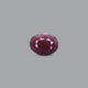 Indian Ruby - 9.3 Carat - Pramogh