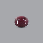 Indian Ruby - 11.3 Carat - Pramogh
