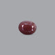 Indian Ruby - 9.05 Carat - Pramogh