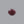 Load image into Gallery viewer, Indian Ruby - 10.5 Carat
