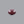 Load image into Gallery viewer, Indian Ruby - 9.3 Carat
