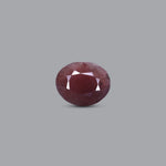 Indian Ruby - 9.6 Carat - Pramogh