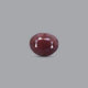 Indian Ruby - 9.6 Carat - Pramogh