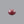 Load image into Gallery viewer, Indian Ruby - 6.95 Carat
