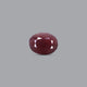 Indian Ruby - 15.4 Carat - Pramogh