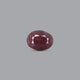 Indian Ruby - 9.75 Carat - Pramogh
