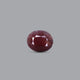 Indian Ruby - 13.15 Carat - Pramogh